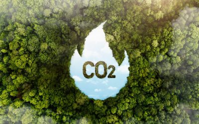 Desafios para Regulamentação do Mercado de Carbono no Brasil