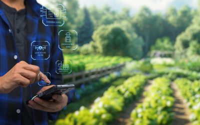 AGRO E IA: UMA JORNADA DE EVOLUÇÃO E OPORTUNIDADES
